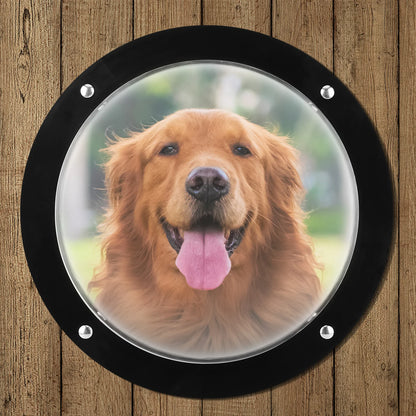 Acrylic Dome Dog Porthole Window Clear View Bubble Peek Window Dog Window for Doggie/Cat