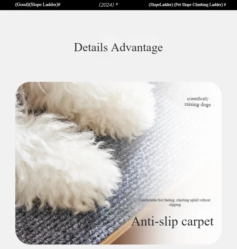 Dog ladder, detachable, with non-slip base. Suitable for small and medium-sized dogs, can be used indoors and outdoors.