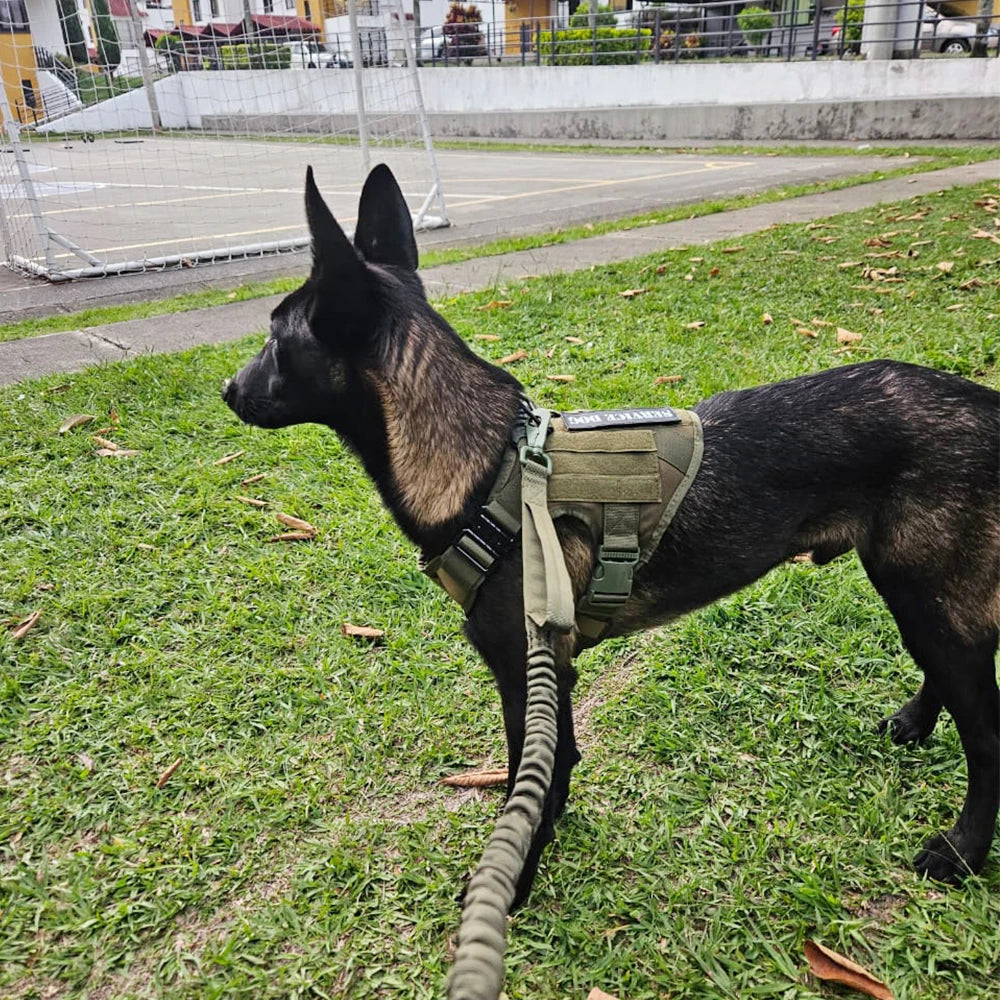 Tactical Dog Harness Leash Set for Large Dogs, Military Harnesses for Training Walking Hunting