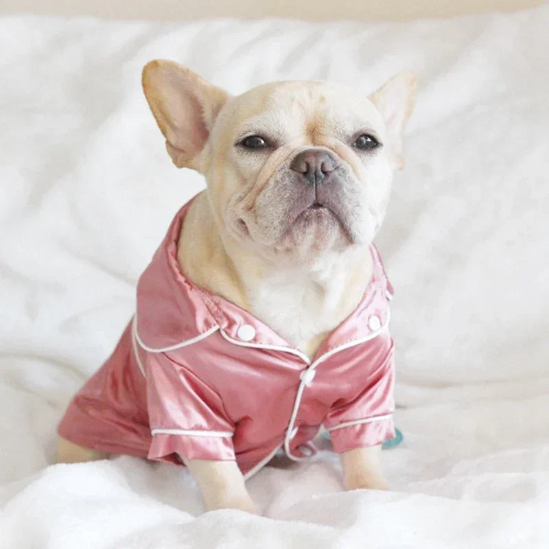 Comfortable Sleepwear for Small Dogs & Cats