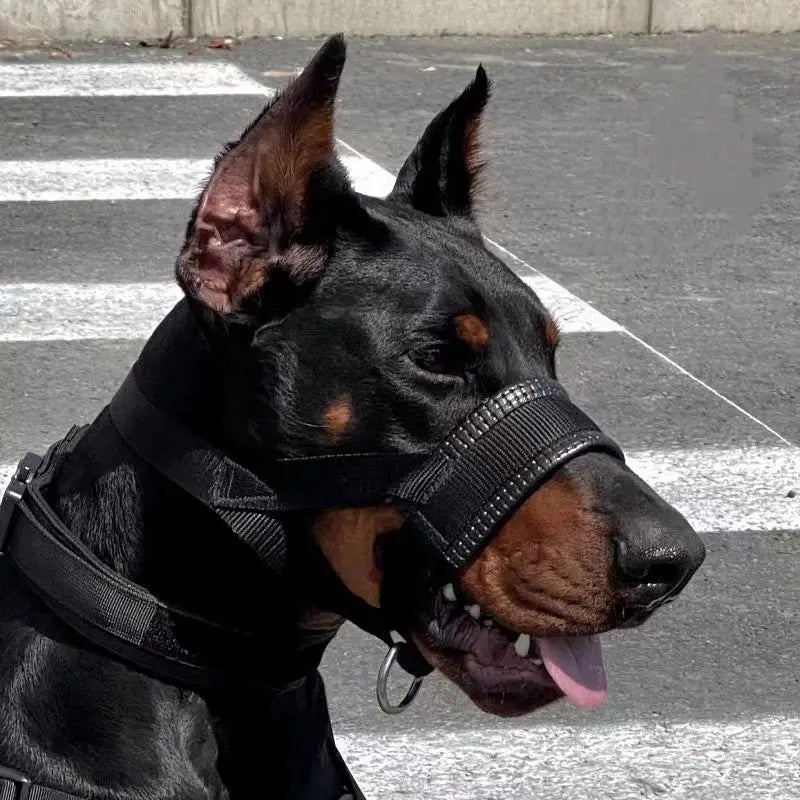 Dog Muzzle Anti-Bite And Anti-barking Outdoor, Dog Walking Anti-Licking And Eating Mouth Cover Husky Small -  Large Dogs