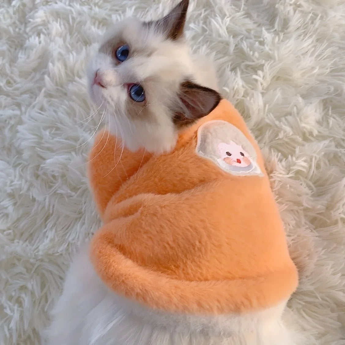 Warm Kitten Clothes for Winter, Sweater Vests