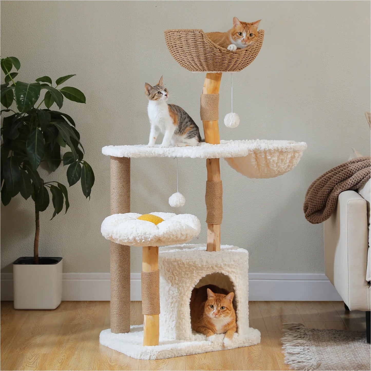 Solid Wood Cat Tree Modern Cat Tower with Spacious Cat Condo,Flower Perches,Fun Pompoms