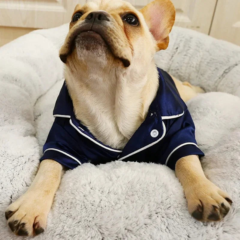 Comfortable Sleepwear for Small Dogs & Cats