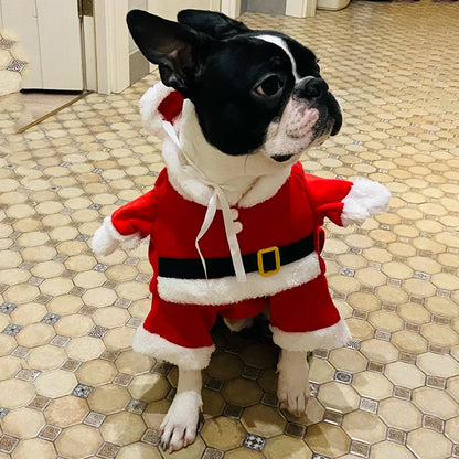 Cute Dog Santa Claus Outfit Christmas Costume for Small Dogs & Cats