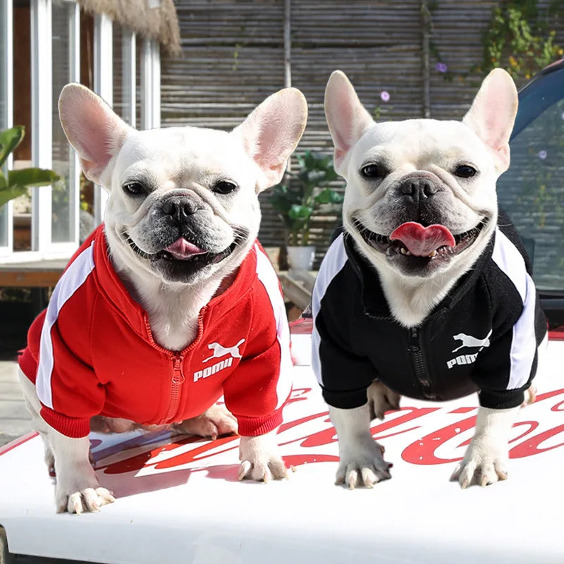 Manufacturer Customizes Pet Clothes for Autumn and Winter, Warm Trendy Brand Sweatshirts with Letters for Dogs and Cats, Small, Medium and Large Dogs