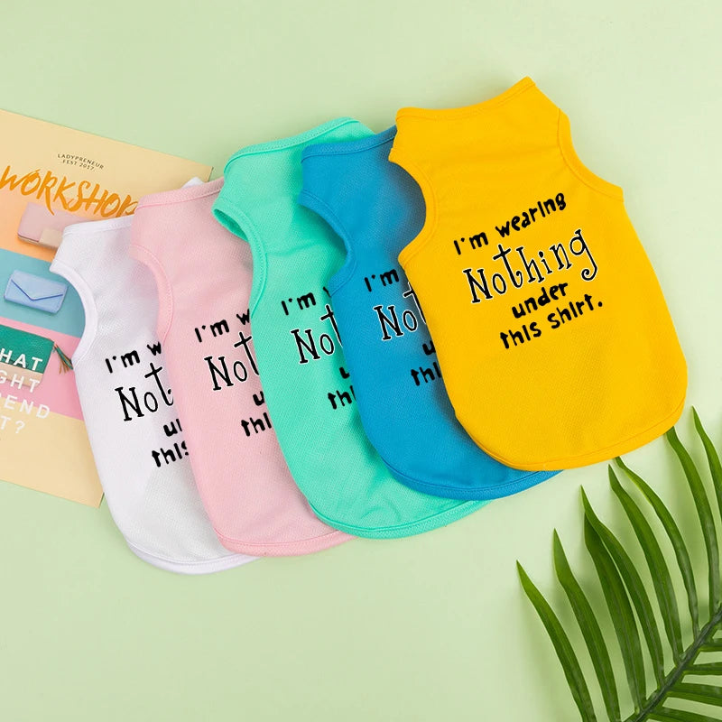 Pet Cooler Vest: Lightweight and breathable summer gear for your dog or cat on hot summer days"