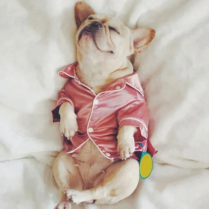 Comfortable Sleepwear for Small Dogs & Cats
