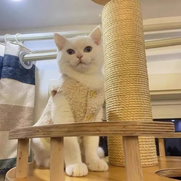 Cat clothes, warm lamb wool vest, autumn and winter pet winter clothes