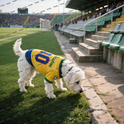 Football Star No10 Print Pet Short Sleeve Tshirts Summer Pet Clothes