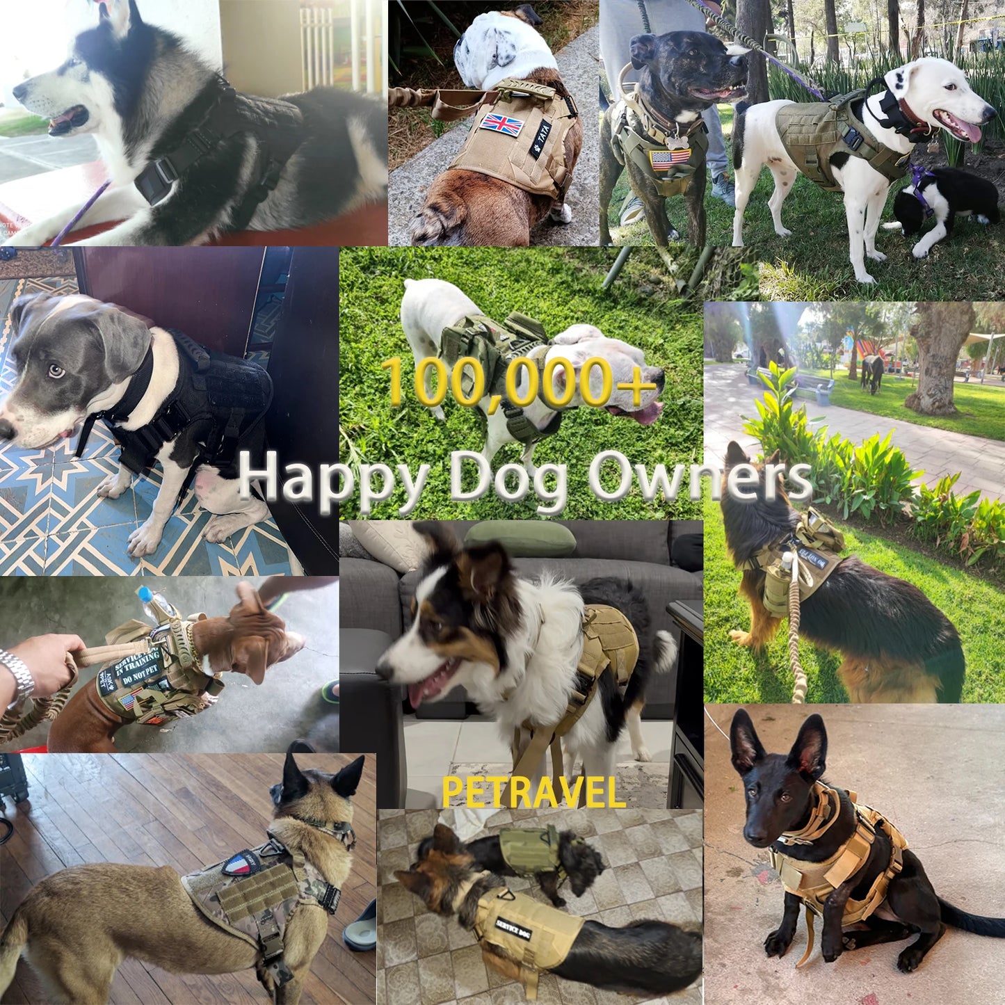 Tactical Dog Harness Collar/Harness and Leash Molle Pouches For Medium Large & Dogs