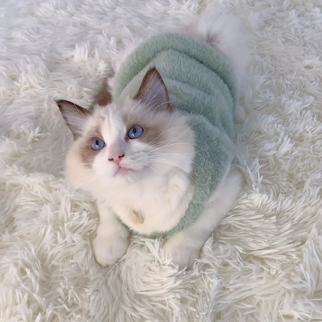 Warm Kitten Clothes for Winter, Sweater Vests