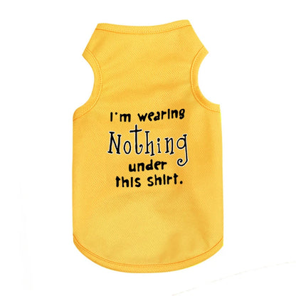 Pet Cooler Vest: Lightweight and breathable summer gear for your dog or cat on hot summer days"