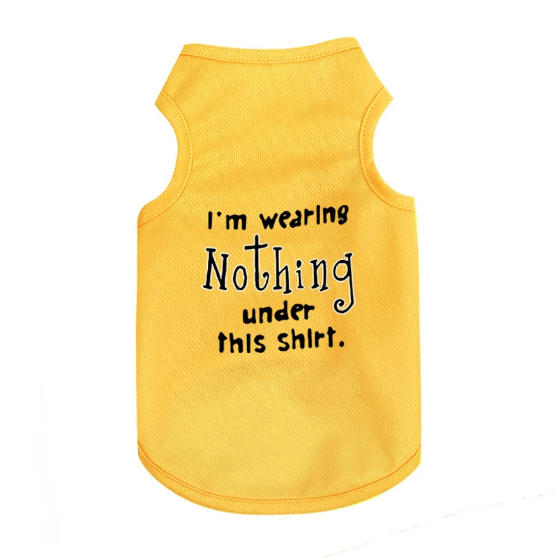 Pet Cooler Vest: Lightweight and breathable summer gear for your dog or cat on hot summer days"