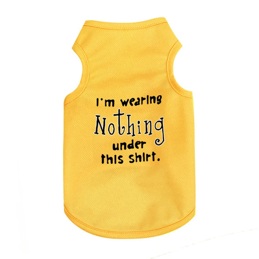 Pet Cooler Vest: Lightweight and breathable summer gear for your dog or cat on hot summer days"