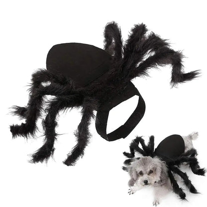 Spider Costume For Dogs & Cats