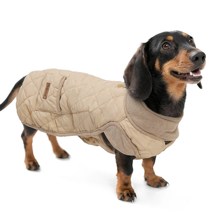 Winter Dog Coat for Small Short-Leg Dogs