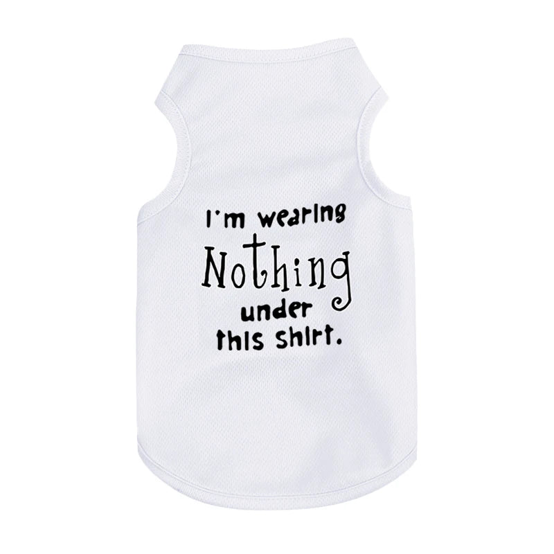 Pet Cooler Vest: Lightweight and breathable summer gear for your dog or cat on hot summer days"