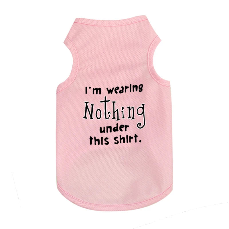 Pet Cooler Vest: Lightweight and breathable summer gear for your dog or cat on hot summer days"