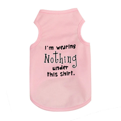 Pet Cooler Vest: Lightweight and breathable summer gear for your dog or cat on hot summer days"