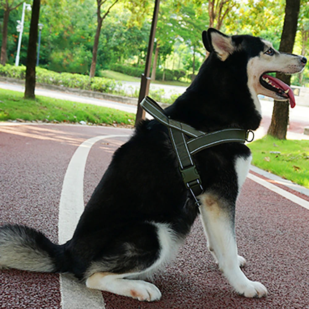 Anti-Pull Dog Harness - for Large Dogs, Outdoor Training