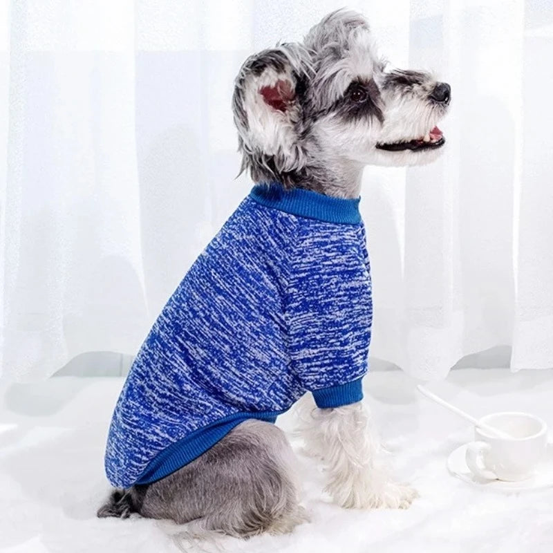 Fashion Pet Hoodies: Warm & Cute for Dogs & Cats