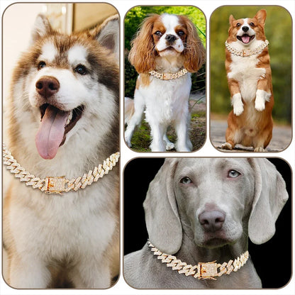 Dog or Cat Chain, Diamond Cuban Collar, Metal Chain Collar with Design Secure Buckle