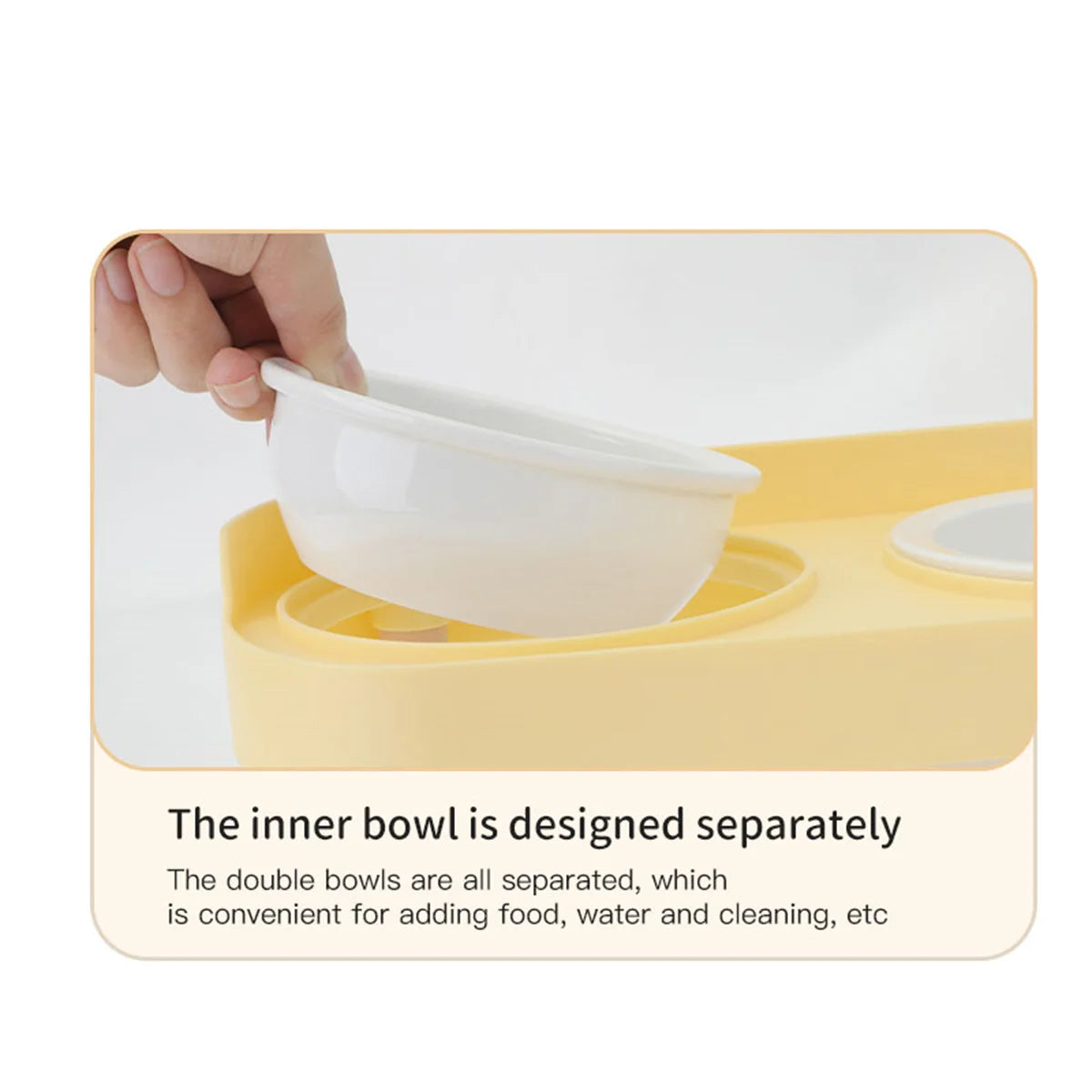 Pet double bowl feeder, adjustable height, cat and dog water dispenser