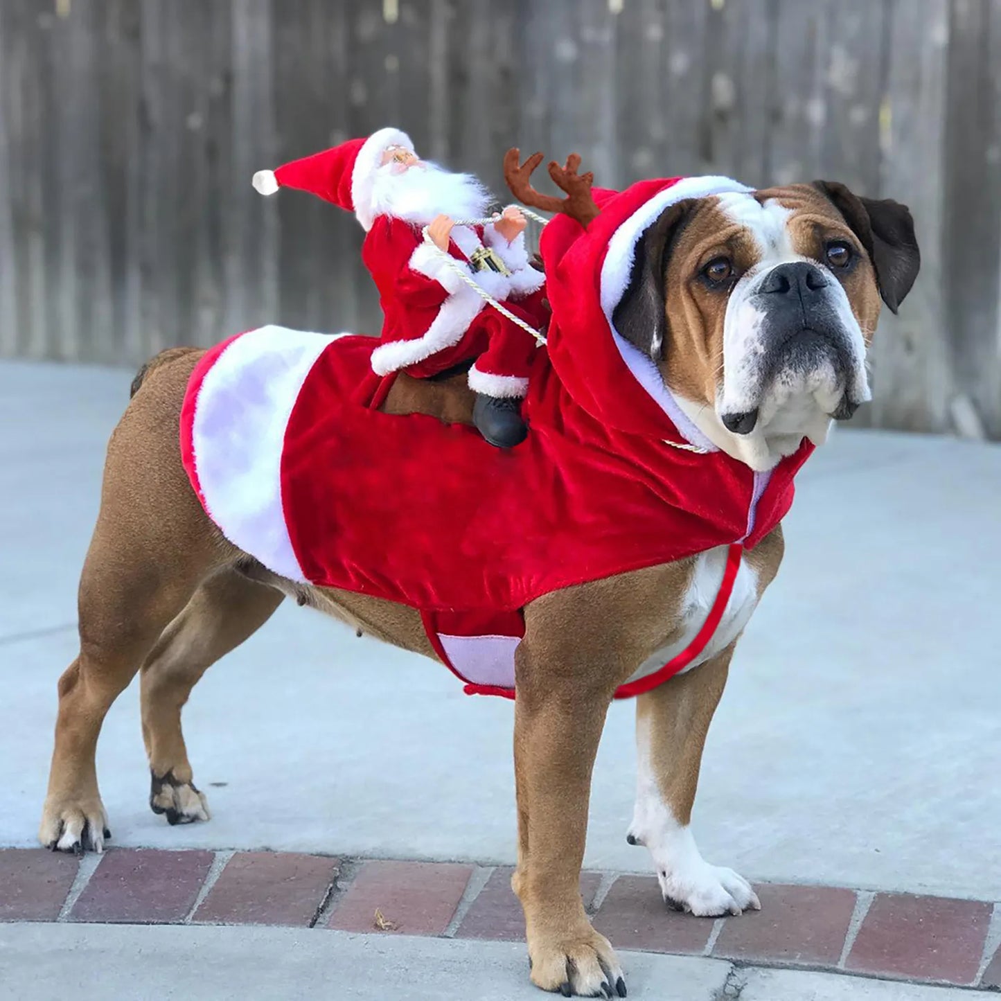 Dog Warm Clothing, Cute Hooded Jacket