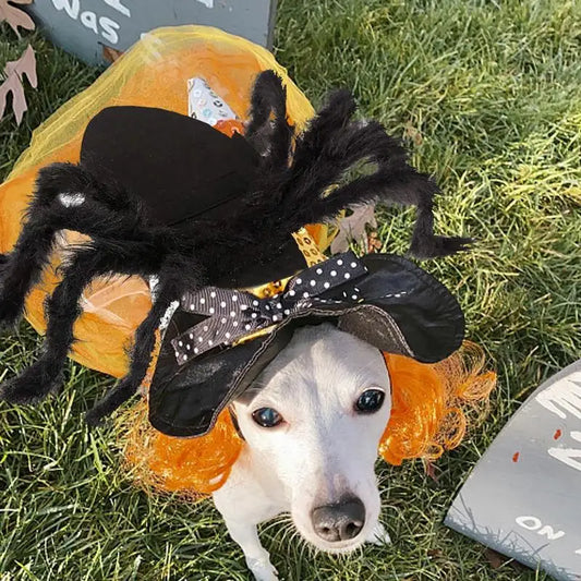 Spider Costume For Dogs & Cats
