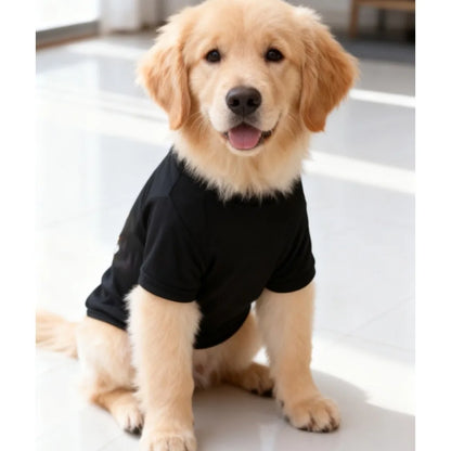 Letter pattern pet T-shirt, daily sportswear, suitable for cats and dogs to wear indoors for leisure walks and vacations