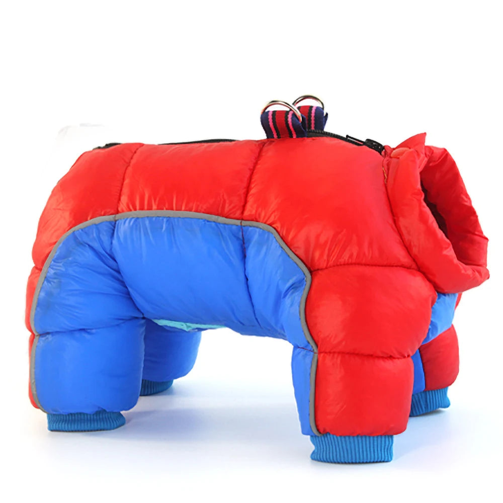 Warm Dog Jacket, Waterproof, several colors and designs