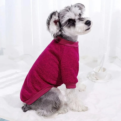 Fashion Pet Hoodies: Warm & Cute for Dogs & Cats