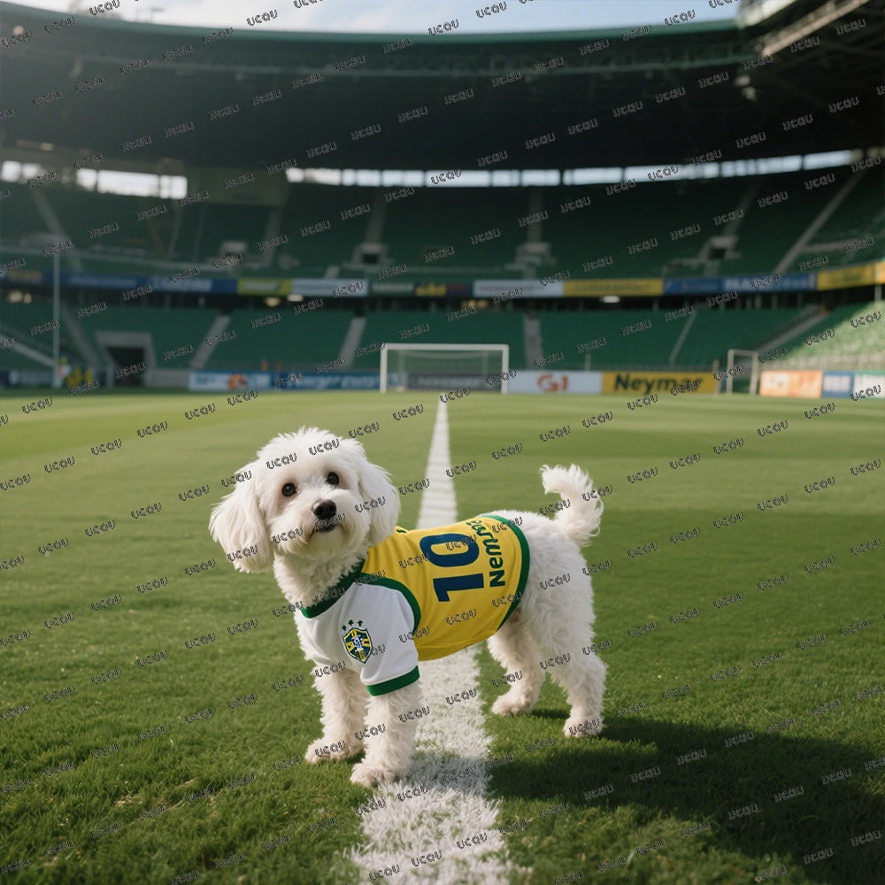 Football Star No10 Print Pet Short Sleeve Tshirts Summer Pet Clothes