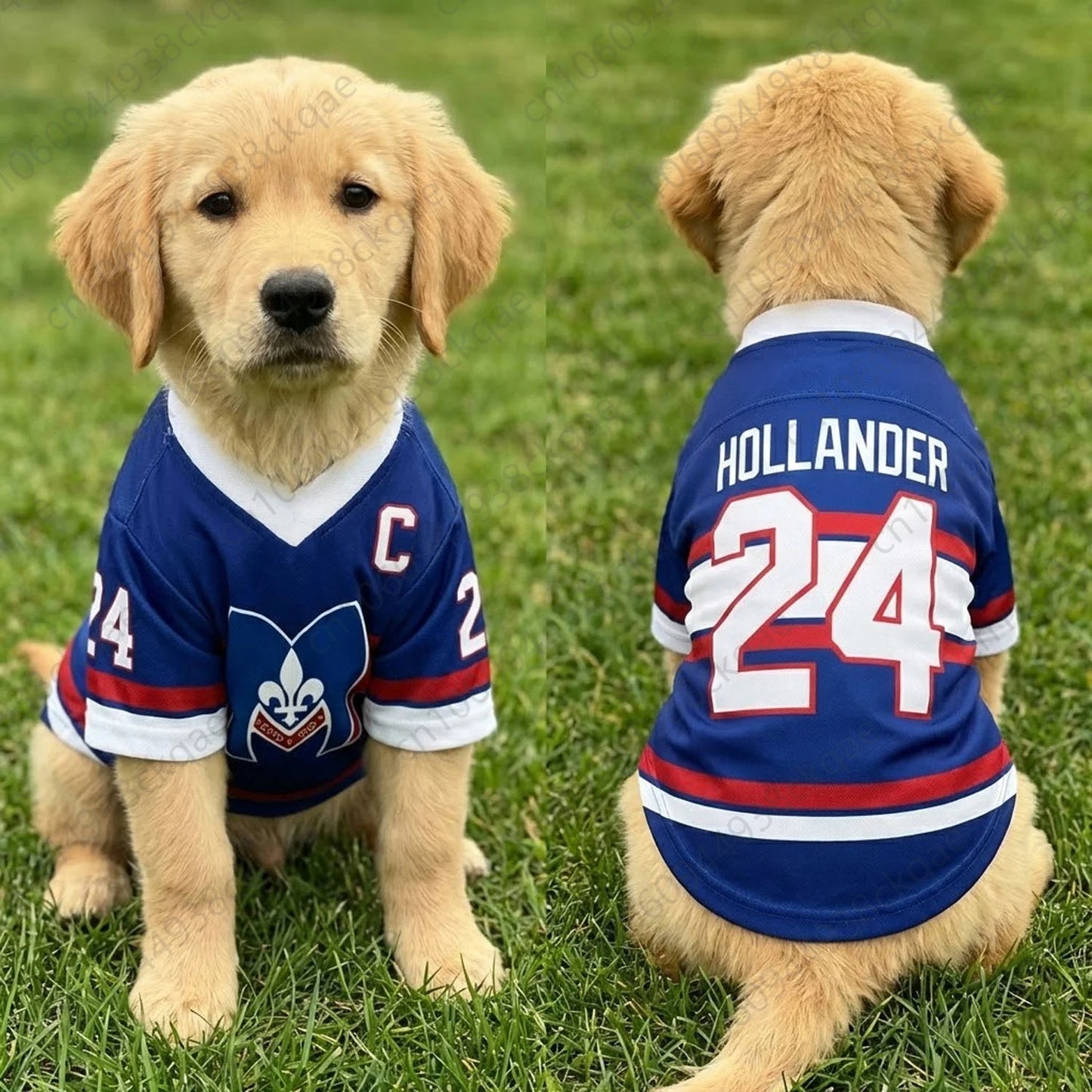 Rozanov 81 Dog Jersey Heated Rivalry Pet Shirt Boston Raiders Hockey Vest Puppy