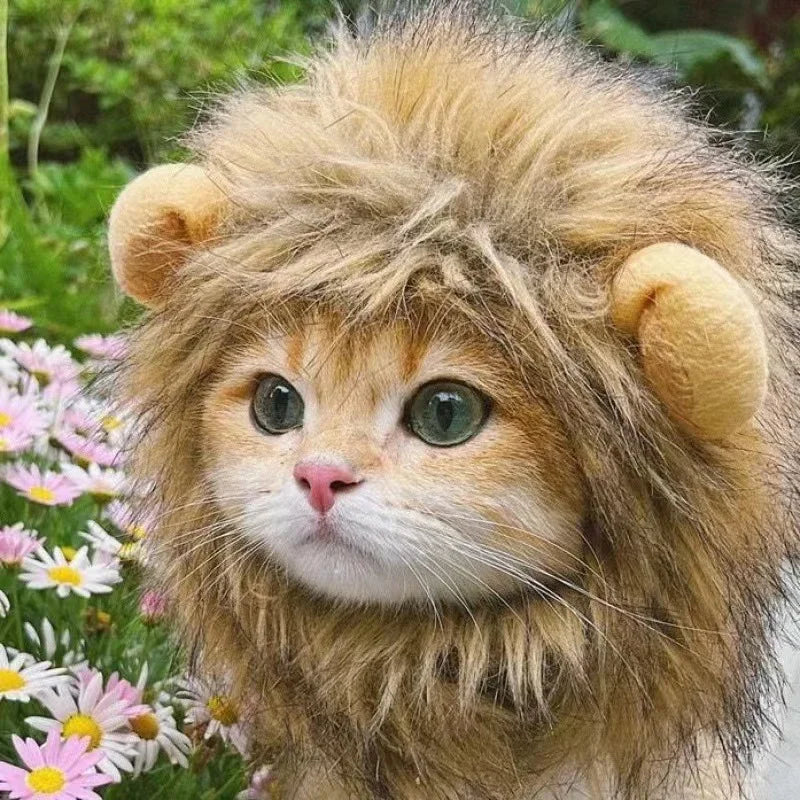 Cat Hairpiece Humorous Lion Mane Headgear for Small Dogs and Cats, Adjustable