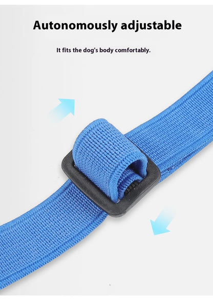 Comfortable Breathable Adjustable Dog Muzzle Anti-Bite, Anti-Eating Pet Muzzle for Small - Large Dogs, Allows Drinking