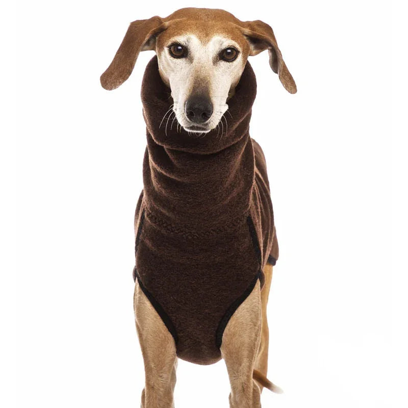 High Collar, Warm Pet Coat for Medium & Large Dogs, green, grey, black