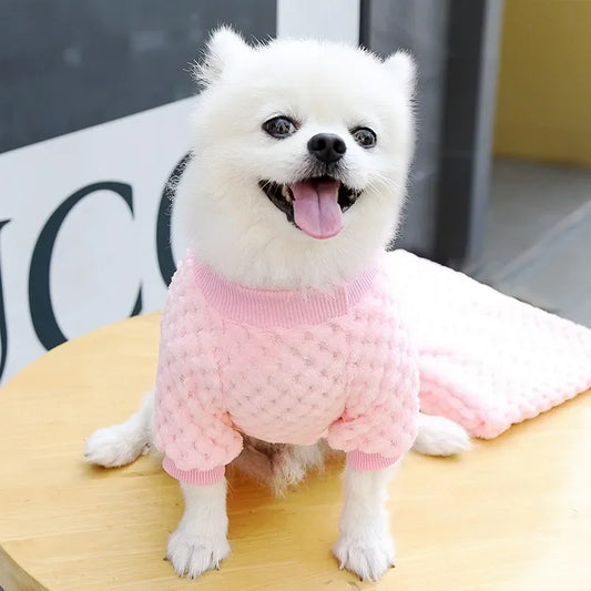Soft & Cute Sweater for Dogs & Cats
