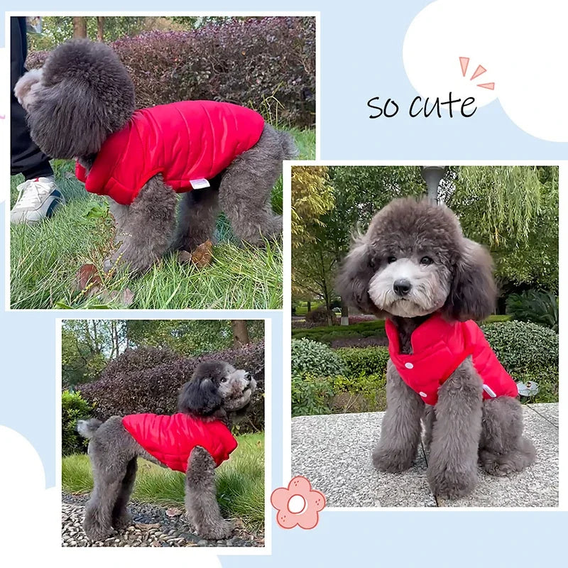 Double Sided Dog Coat Winter Warm Pet Dog Clothes For Small & Medium Dogs