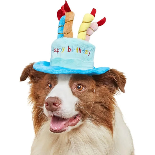 Cute Pet Party Hat for Dogs and Cats - Soft Fluffy Birthday Cap with 5 Color Candles, Blue