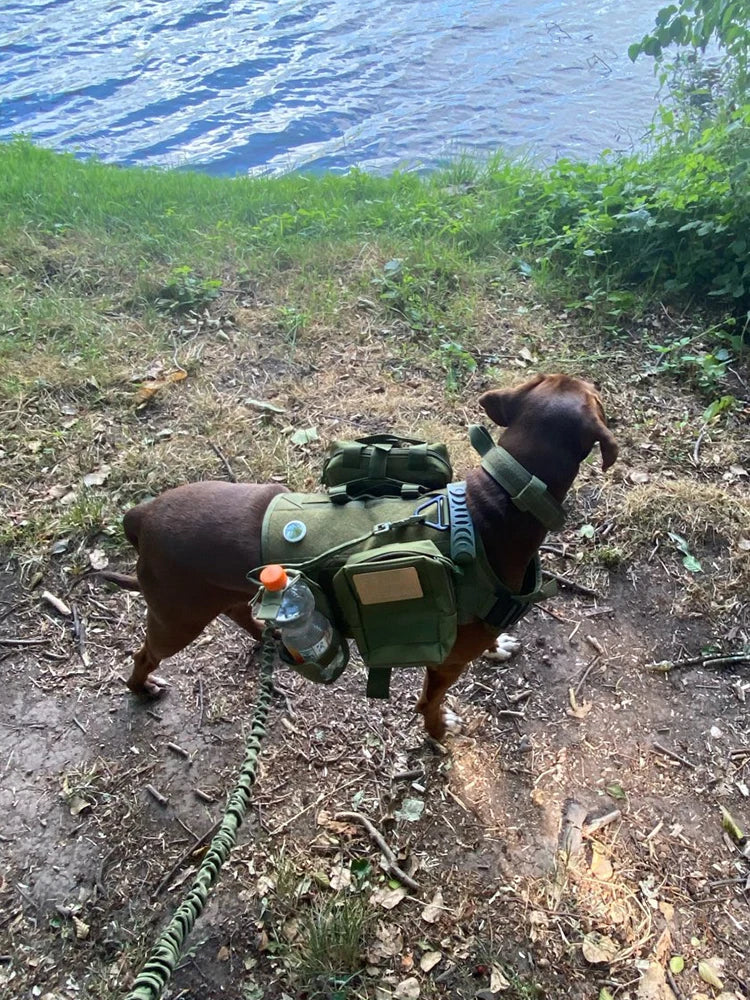 Tactical Dog Harness Collar/Harness and Leash Molle Pouches For Medium Large & Dogs