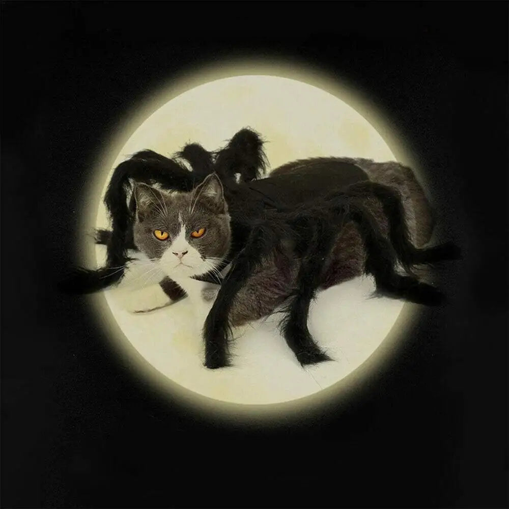 Spider Costume For Dogs & Cats